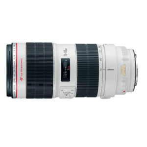 Canon telephoto lens for parallel shots and vignettes